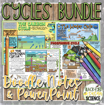 Preview of Cycles Doodle Notes Bundle (Water, Carbon, Nitrogen, Phosphorus) & Quiz + PP