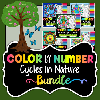 Preview of Cycles in Nature - Color By Number Bundle | Water Cycle, Photosynthesis & More!