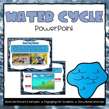 Preview of Water Cycle Powerpoint