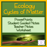 Cycles of Matter: PowerPoint, Student Guided Notes, and Worksheet
