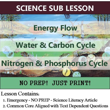 Preview of Cycles of Matter Science Sub Plan - Energy Flow (Homework or Enrichment)