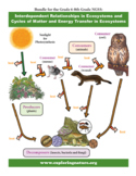 Cycles of Matter and Energy Transfer in Ecosystem (Food We