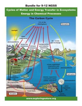 Preview of Cycles of Matter and Energy Transfer in Ecosystems (NGSS Grade 9-12)