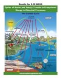 Cycles of Matter and Energy Transfer in Ecosystems (NGSS G