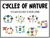 Cycles of Nature Posters to Accompany CKLA 2nd grade