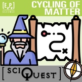 Cycling of Matter Review Activity | Science Scavenger Hunt
