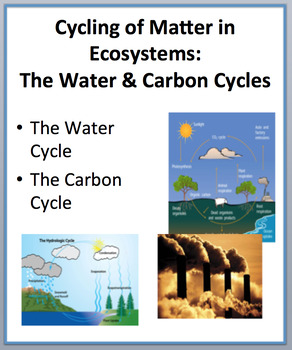 Preview of Cycling of Matter - The Water and Carbon Cycle PowerPoint Lesson