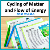 Cycling of Matter and Flow of Energy
