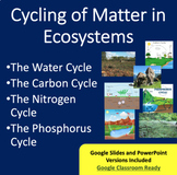 Cycling of Matter in Ecosystems Lesson - Google Slides and