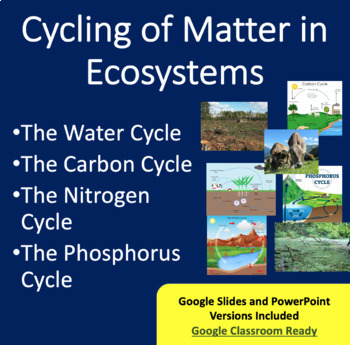 Preview of Cycling of Matter in Ecosystems Lesson - Google Slides and Distance Learning