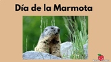 Día de la Marmota