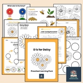 D is for Daisy Preschool Learning Pack Letter D Week Lesso