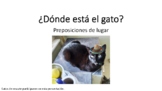 Dónde esta el gato? Where is the cat? Spanish Preposicione