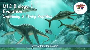 Preview of D12 Biology - Swimming & Flying Reptiles