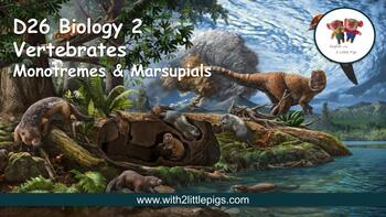 Preview of D26 Biology - Monotremes & Marsupials