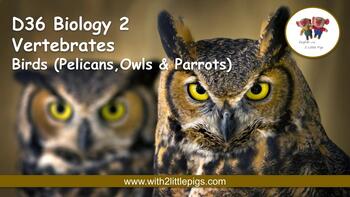 Preview of D36 Biology - Birds (Pelican)