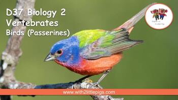 Preview of D37 Biology - Birds (Passerines)