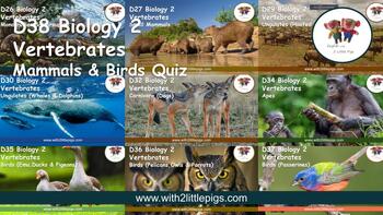 Preview of D38 Biology - Mammals & Birds Quiz