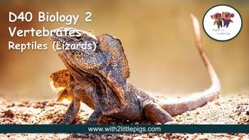 Preview of D40 Biology - Reptiles (Lizards)