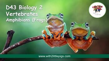 Preview of D43 Biology - Amphibians (Frogs)