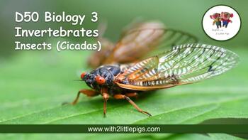 Preview of D50 Biology - Insects (Cicadas)