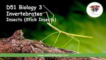 Preview of D51 Biology - Insects (Stick Insects)