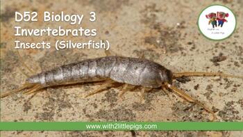 Preview of D52 Biology - Insects (Silverfish)