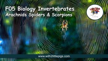 Preview of D53 Biology - Arachnids (Spiders & Scorpions)