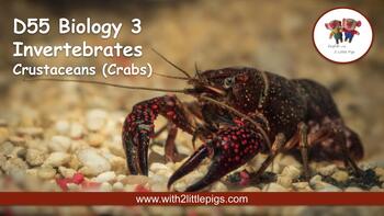 Preview of D55 Biology - Crustaceans (Crabs)