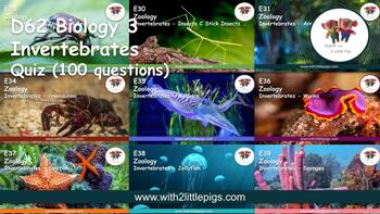 Preview of D62 Biology - Invertebrate Quiz