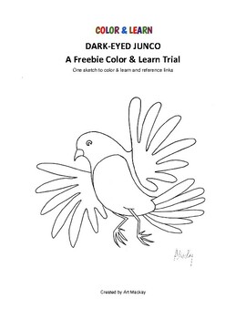 Preview of DARK-EYED JUNCO A Freebie Color & Learn Trial