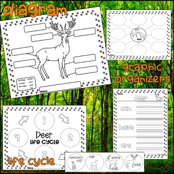 DEER Close Reading Passages Comprehension Questions with Writing Activity