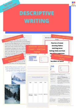 Preview of DESCRIPTIVE WRITING USING IMAGERY LESSON PLAN + READING AND WRITING ACTIVITIES