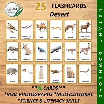 Preview of DESERT ANIMAL FLASHCARDS-X-Large!