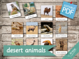 DESERT ANIMALS • 24 Editable Montessori 3-part Cards • Fla
