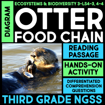 Preview of DIAGRAM Otter Ecosystem Food Chain 3rd Grade Science Reading Activity, Worksheet