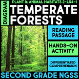 DIAGRAM Temperate Forest Habitat Plants & Animals - 2nd Gr