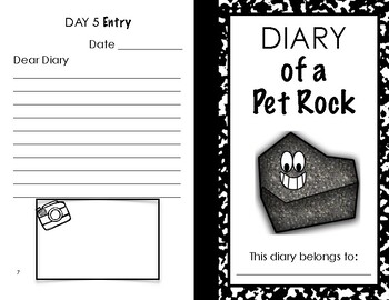 Preview of DIARY of a Pet Rock