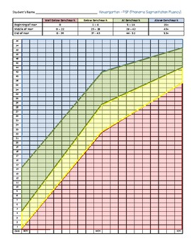 Preview of DIBELS 8th Progress Monitoring Chart for Kindergarten - PSF