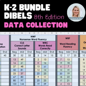 Preview of DIBELS Data Tracker K-2