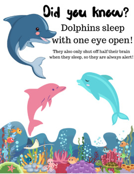 Preview of DID YOU KNOW - dolphin fun facts