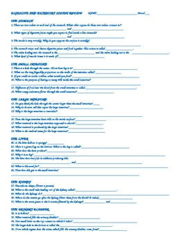 Preview of DIGESTION/EXCRETION REVIEW