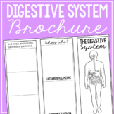 DIGESTIVE SYSTEM: Anatomy Science Research Project | Vocab