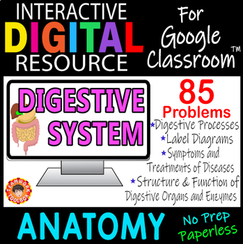 Preview of DIGESTIVE SYSTEM ~Digital Resource for Google Slides~ ANATOMY