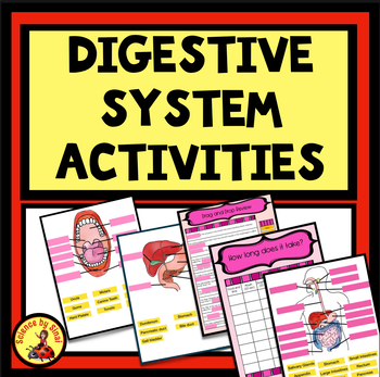 Preview of DIGESTIVE SYSTEM Digital INTERACTIVE ACTIVITIES  Labeling, Questions