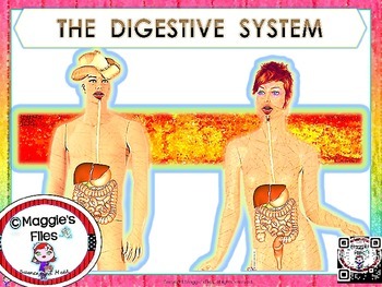 Preview of DIGESTIVE SYSTEM- PPT AND NOTES