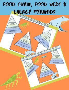 Preview of ONLINE LEARNING::Energy Pyramids and Food Chains INTERACTIVE