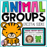 DIGITAL Animal Groups - Distance Learning