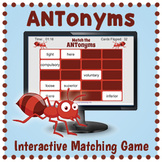 DIGITAL Antonym Memory Matching Card Game