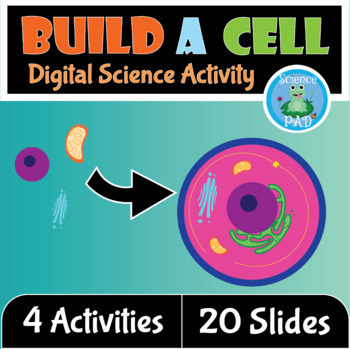 Preview of DIGITAL BUILD AN ANIMAL CELL | Lesson Plan Organelles | Online Science Activity